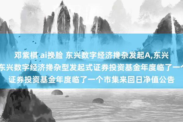 邓紫棋 ai换脸 东兴数字经济搀杂发起A，东兴数字经济搀杂发起C: 东兴数字经济搀杂型发起式证券投资基金年度临了一个市集来回日净值公告