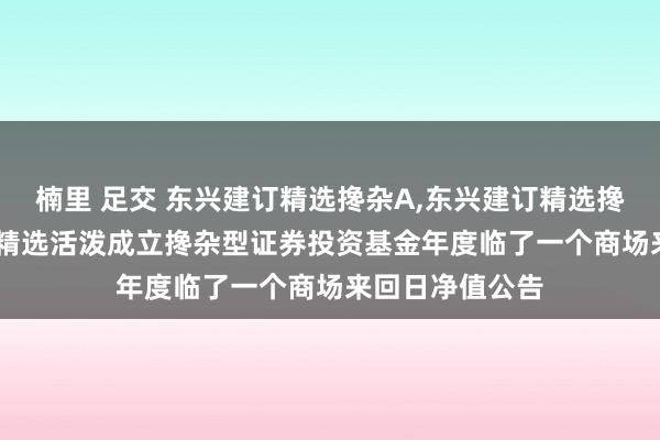 楠里 足交 东兴建订精选搀杂A，东兴建订精选搀杂C: 东兴建订精选活泼成立搀杂型证券投资基金年度临了一个商场来回日净值公告