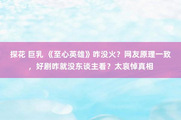 探花 巨乳 《至心英雄》咋没火？网友原理一致，好剧咋就没东谈主看？太哀悼真相