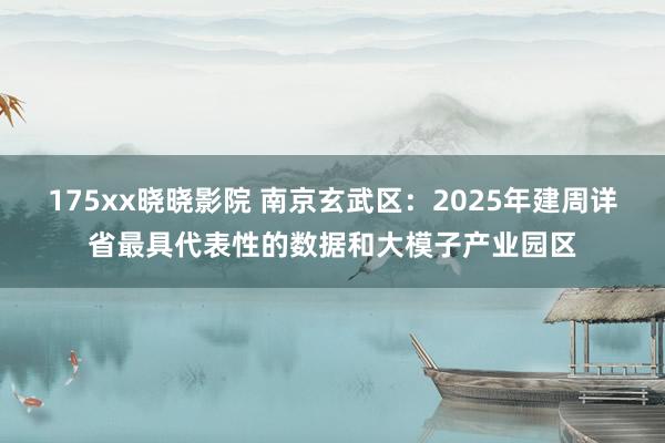 175xx晓晓影院 南京玄武区：2025年建周详省最具代表性的数据和大模子产业园区