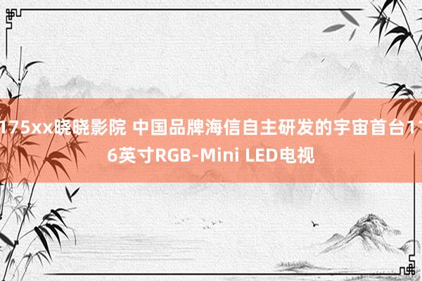 175xx晓晓影院 中国品牌海信自主研发的宇宙首台116英寸RGB-Mini LED电视