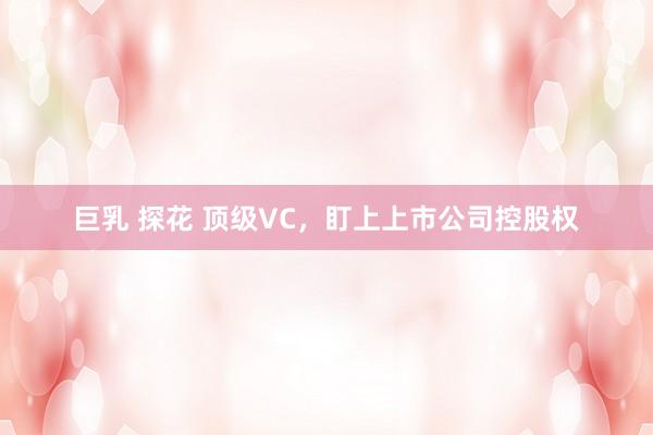 巨乳 探花 顶级VC，盯上上市公司控股权