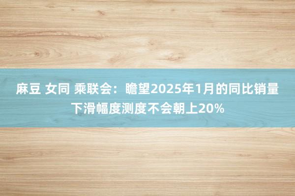 麻豆 女同 乘联会：瞻望2025年1月的同比销量下滑幅度测度不会朝上20%