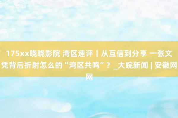 175xx晓晓影院 湾区速评丨从互信到分享 一张文凭背后折射怎么的“湾区共鸣”？_大皖新闻 | 安徽网