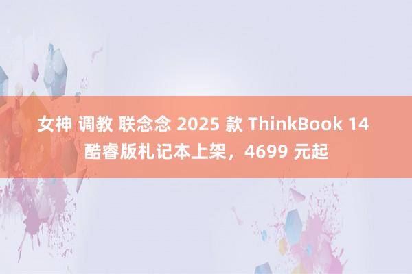 女神 调教 联念念 2025 款 ThinkBook 14 酷睿版札记本上架，4699 元起