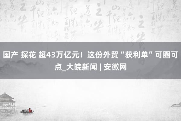 国产 探花 超43万亿元！这份外贸“获利单”可圈可点_大皖新闻 | 安徽网