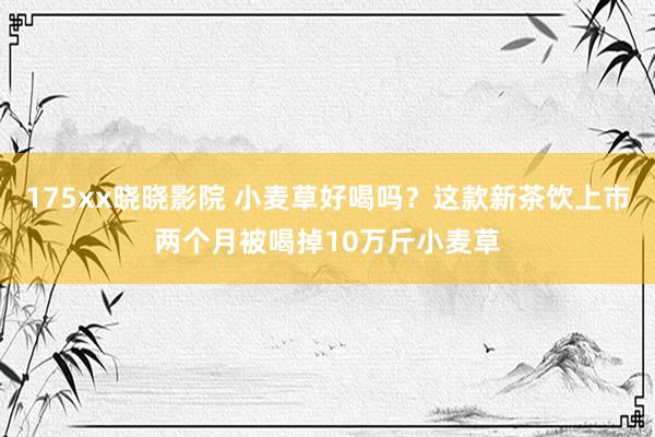 175xx晓晓影院 小麦草好喝吗？这款新茶饮上市两个月被喝掉10万斤小麦草