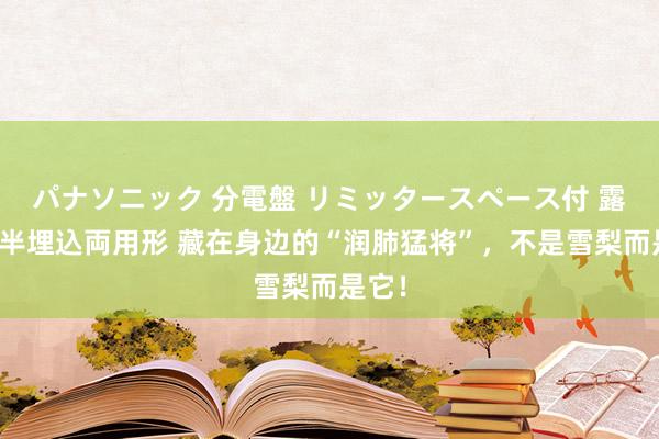 パナソニック 分電盤 リミッタースペース付 露出・半埋込両用形 藏在身边的“润肺猛将”，不是雪梨而是它！