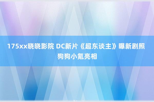 175xx晓晓影院 DC新片《超东谈主》曝新剧照 狗狗小氪亮相